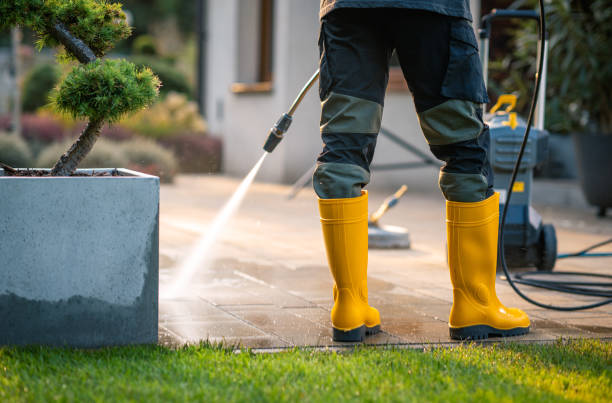 Best Pressure Washing Near Me  in St Henry, OH